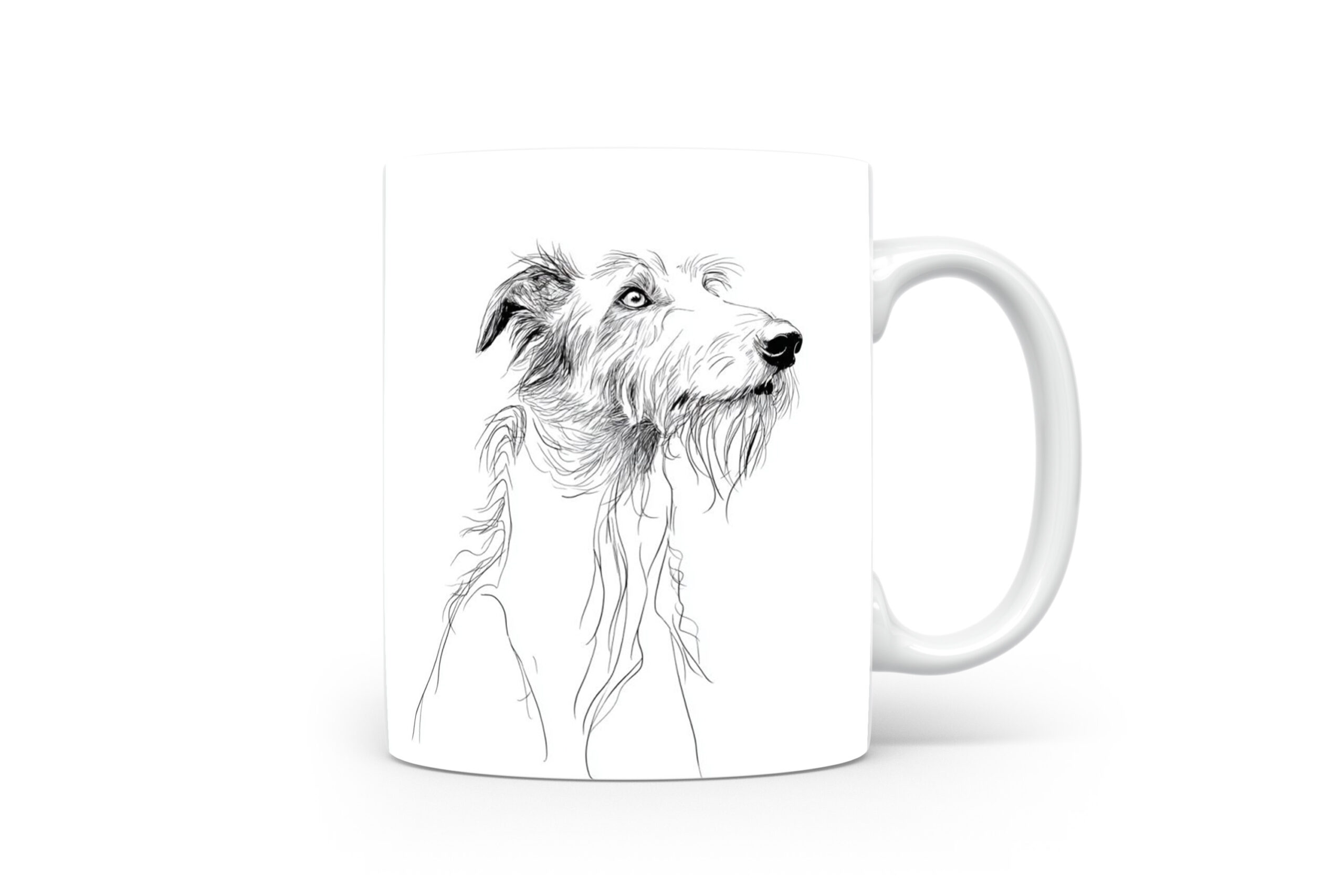 Beker Scottish Deerhound Scottish Deerhound