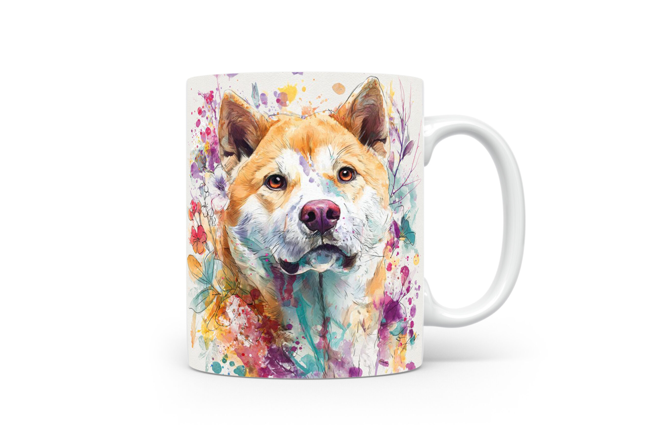 Beker Akita Akita