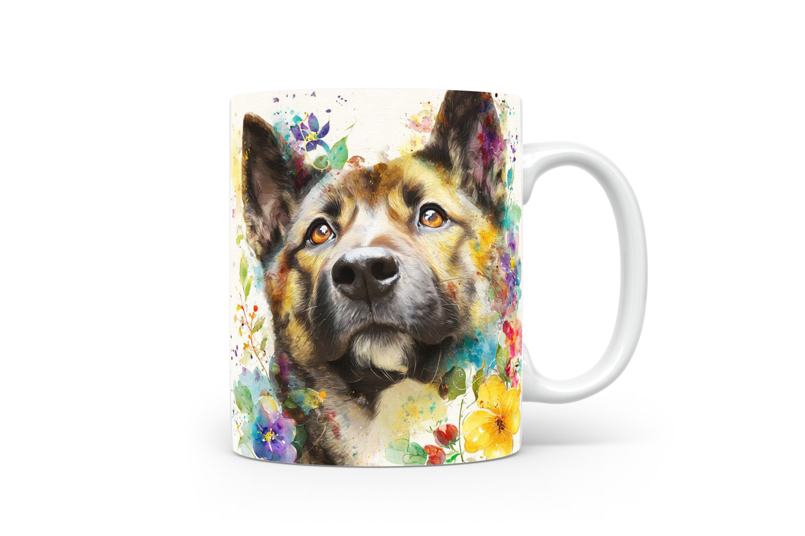 Beker Akita Akita