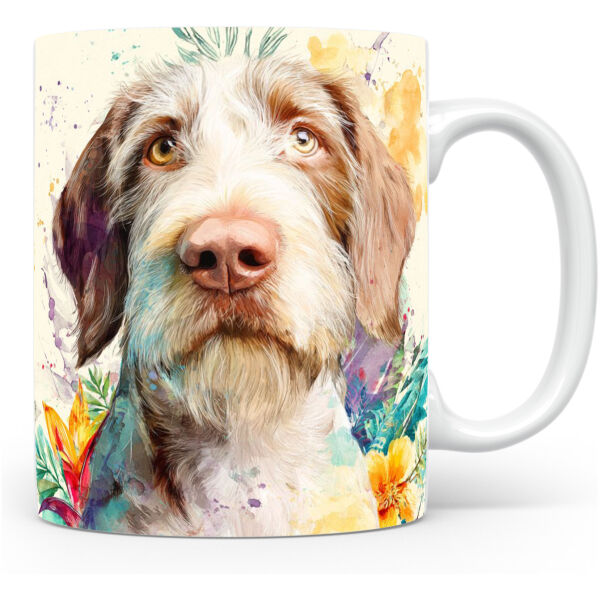 Spinone Italiano