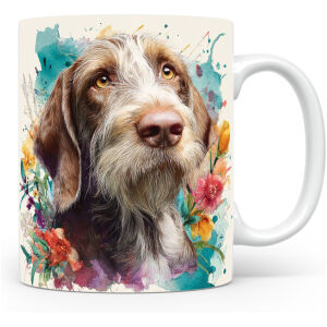 Spinone Italiano