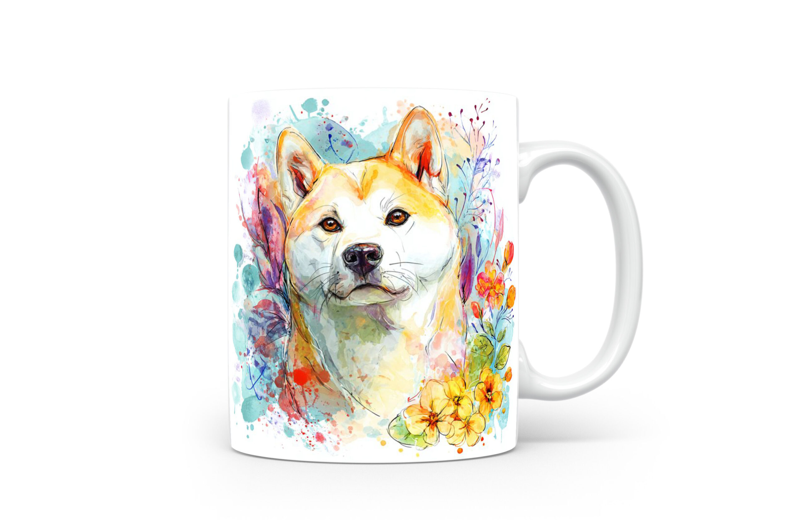 Beker Akita Akita