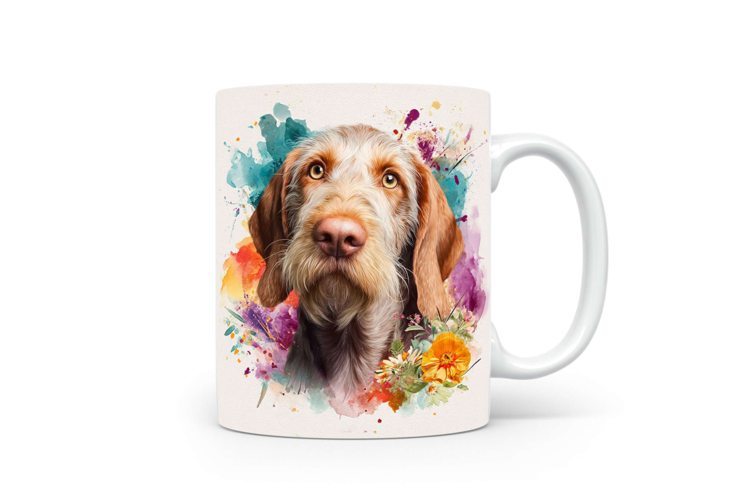 Beker Spinone Italiano Spinone Italiano