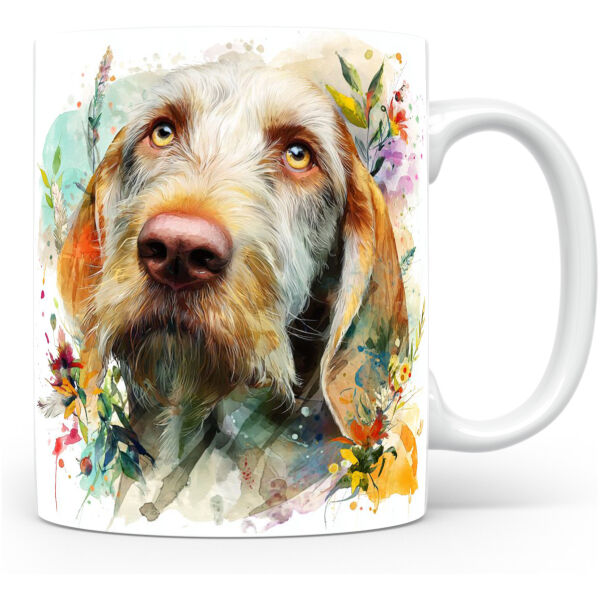 Spinone Italiano