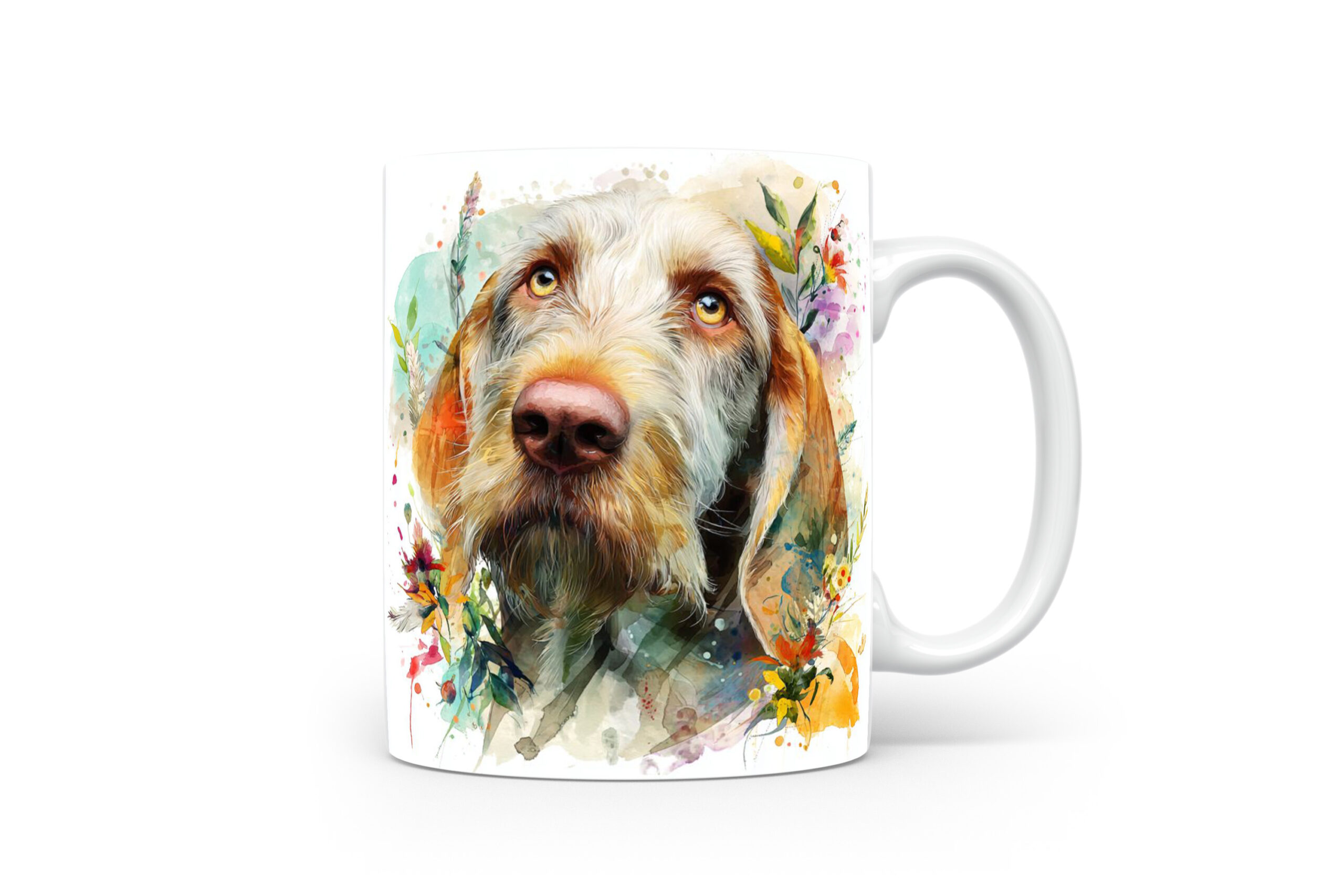 Beker Spinone Italiano Spinone Italiano