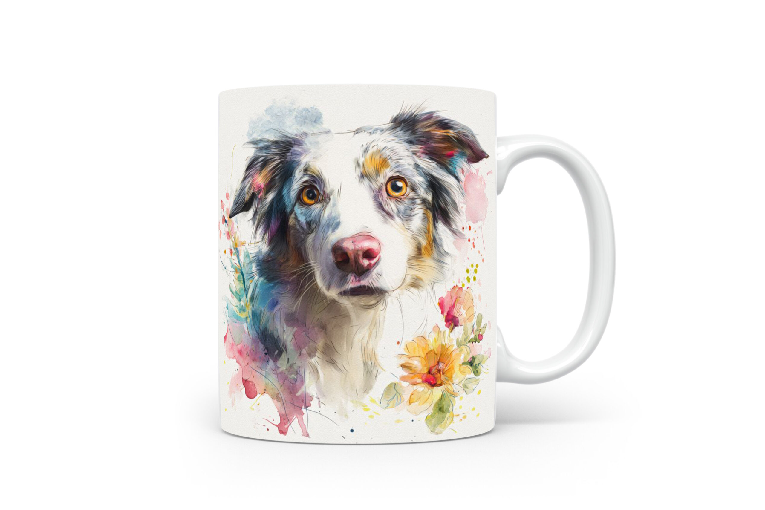 Beker Border Collie Border Collie