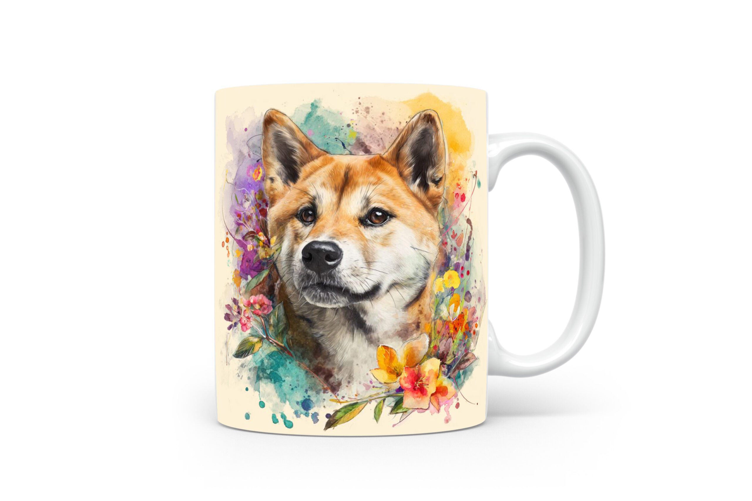 Beker Akita Akita