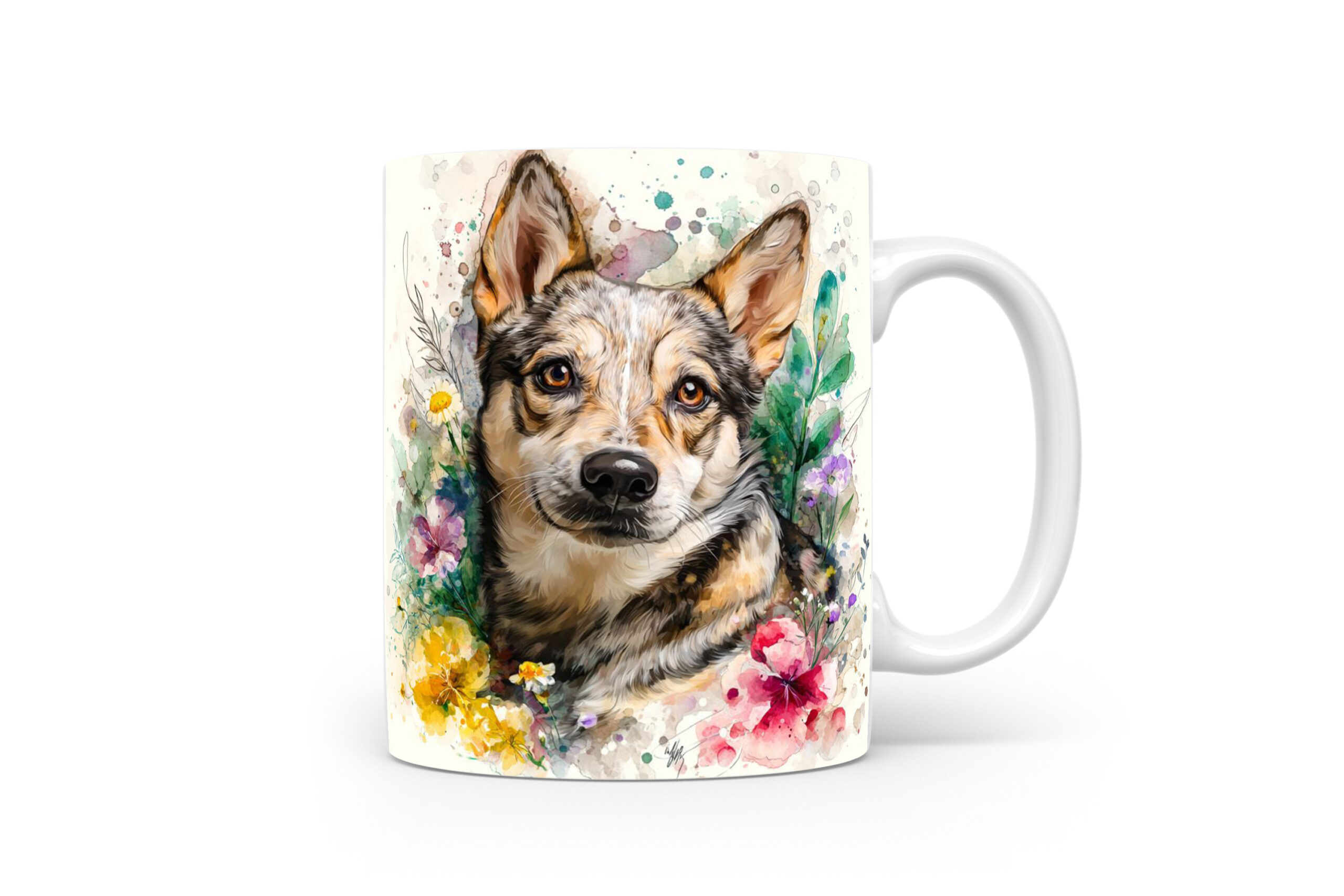Beker Zweedse Vallhund Zweedse Vallhund