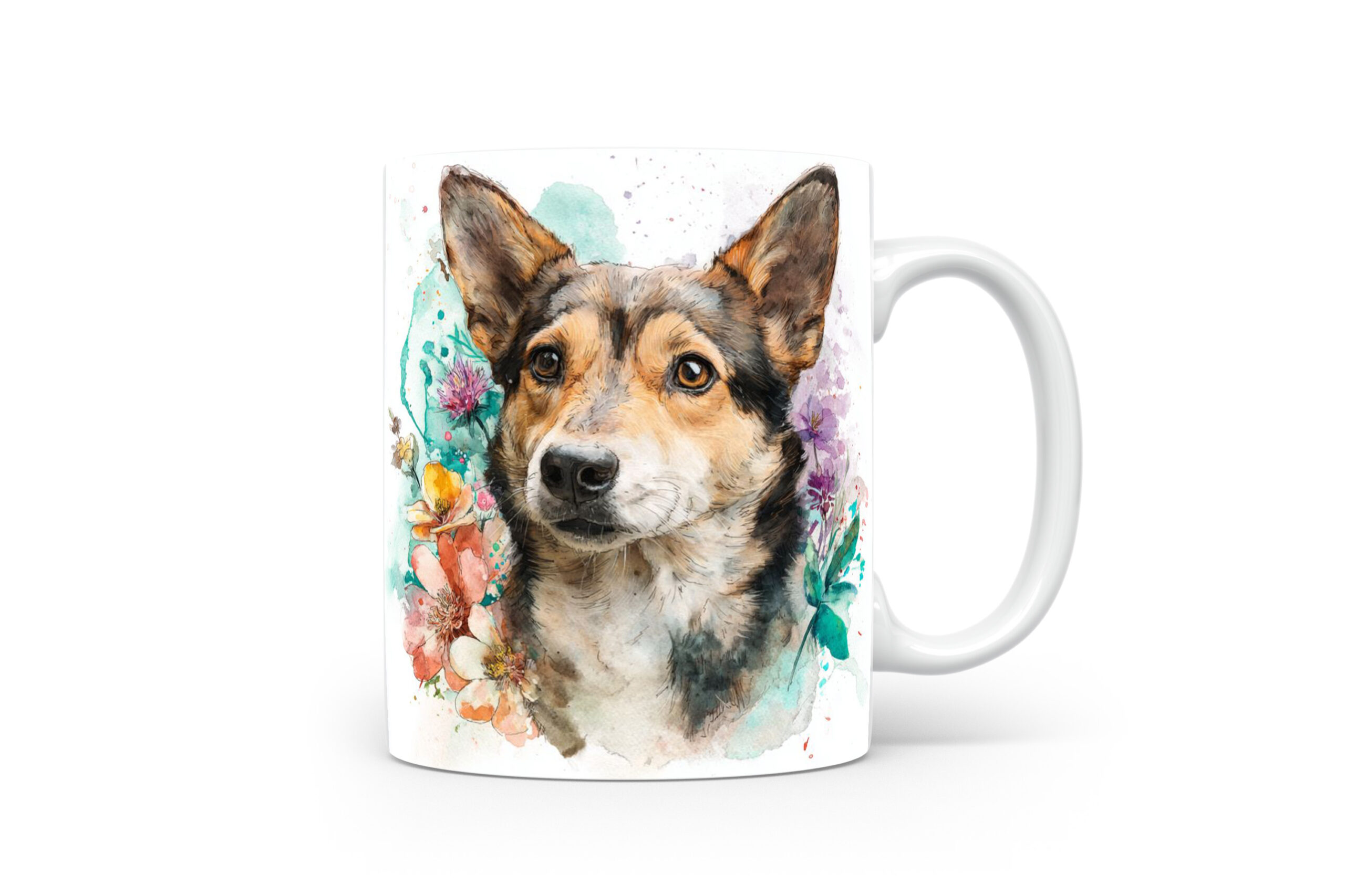 Beker Zweedse Vallhund Zweedse Vallhund