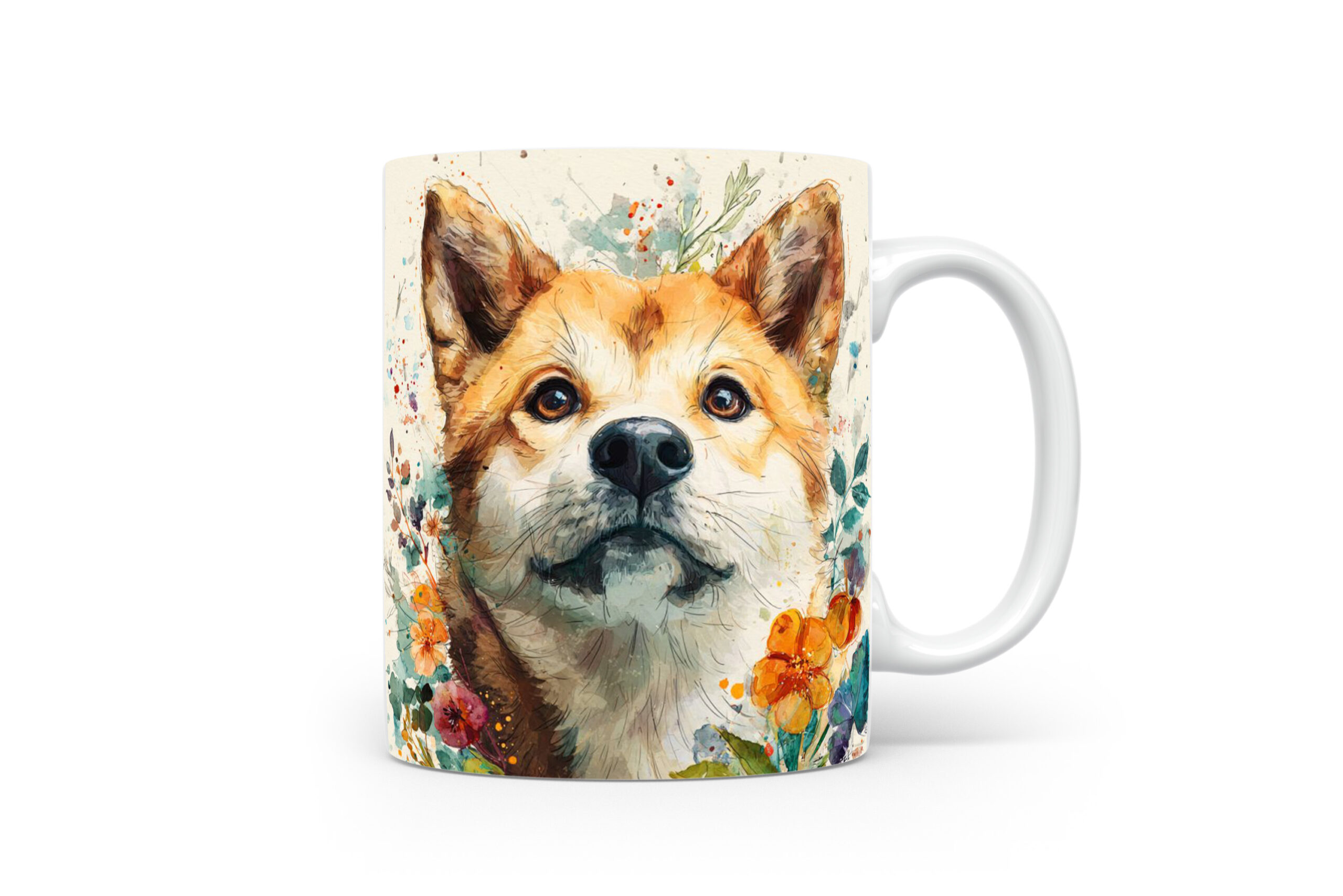 Beker Akita Akita