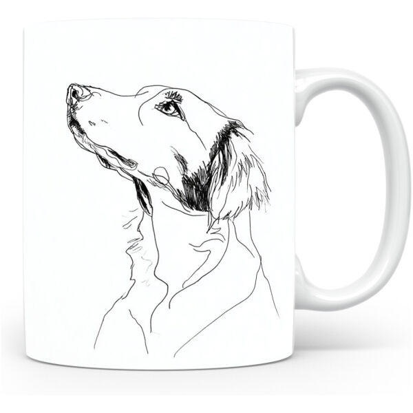 Kleine Münsterlander