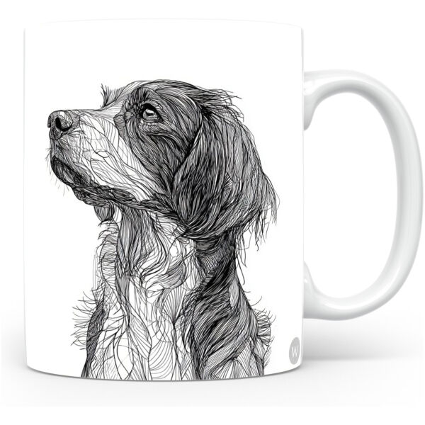 Beker Stabijhoun Stabijhoun