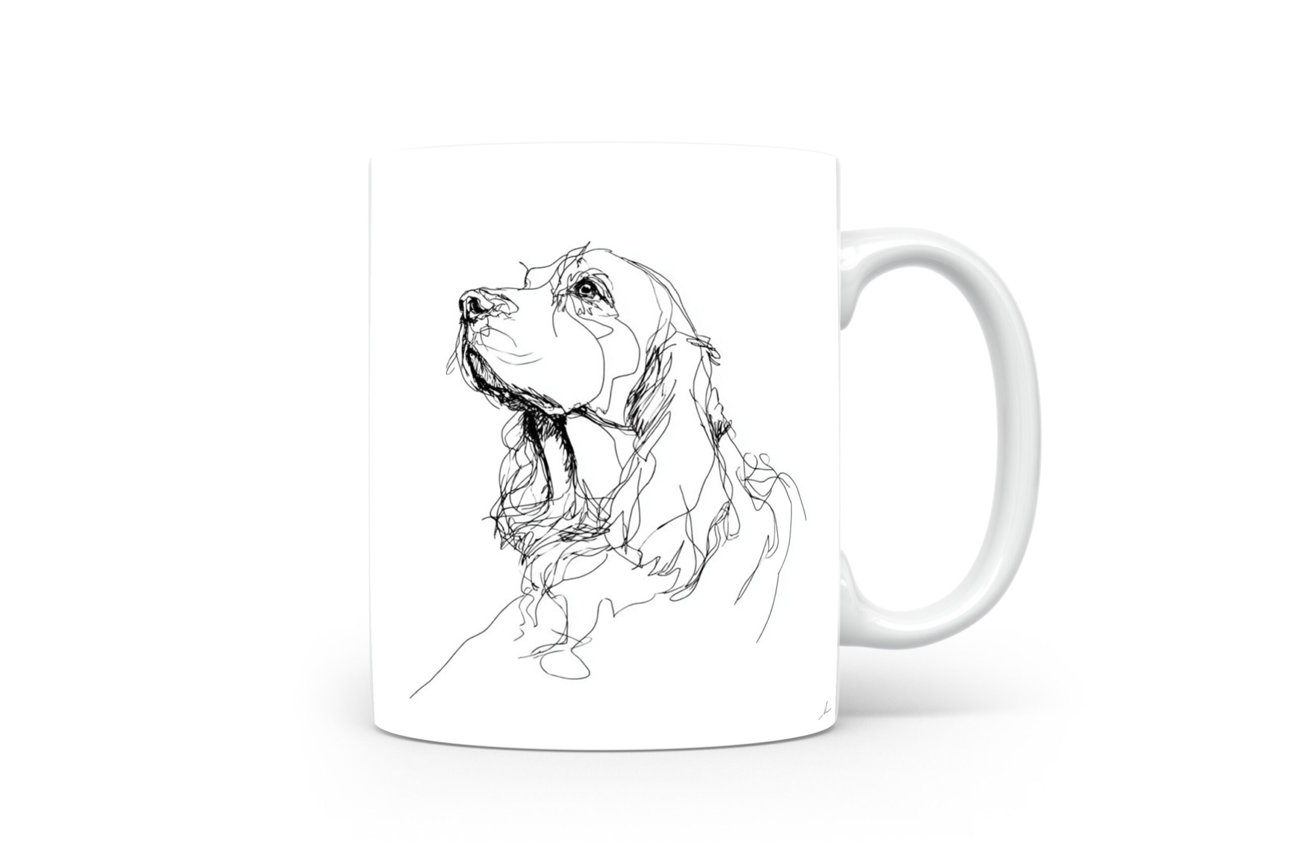 Beker Sussex Spaniel Sussex Spaniel