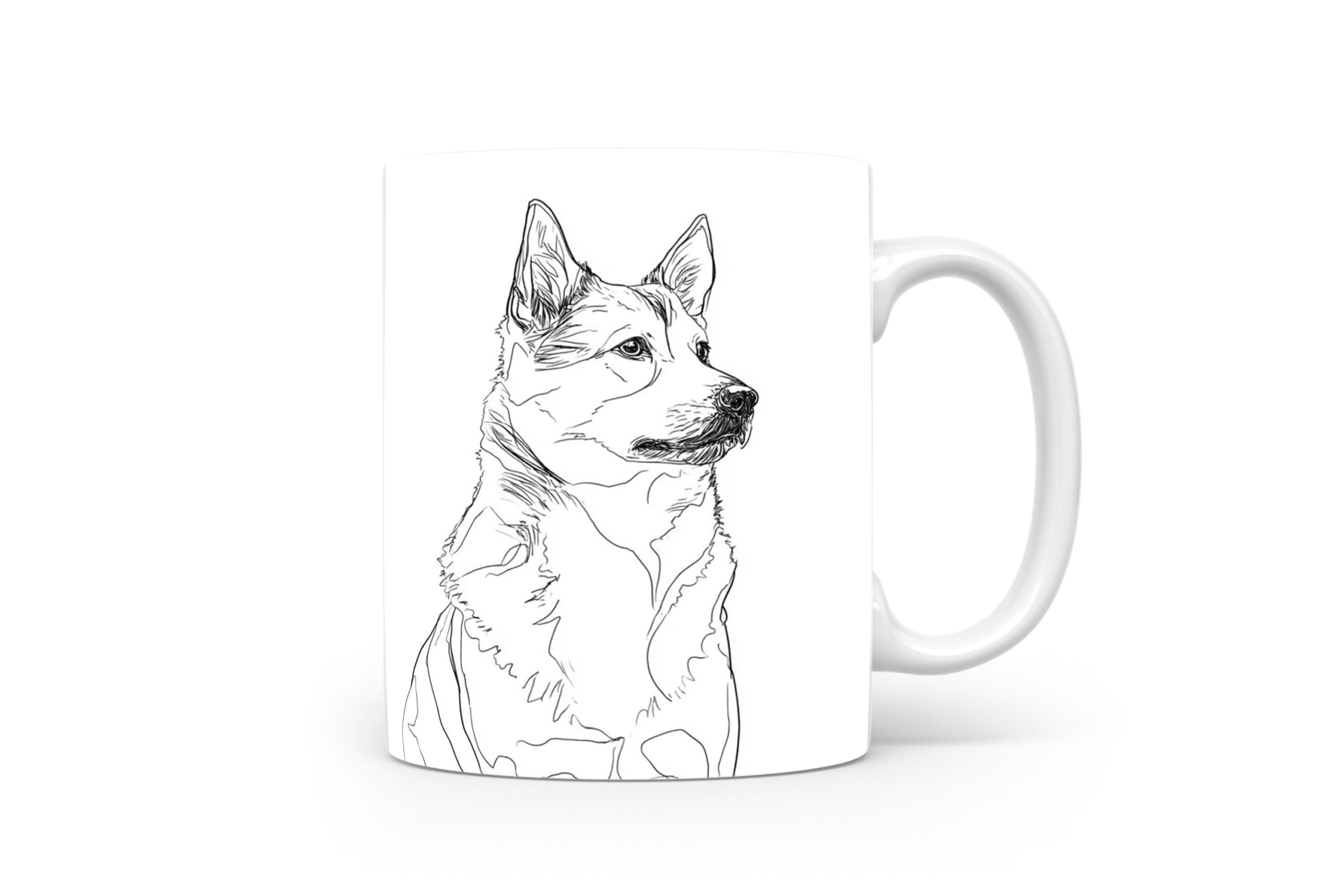 Beker Zweedse Vallhund Zweedse Vallhund
