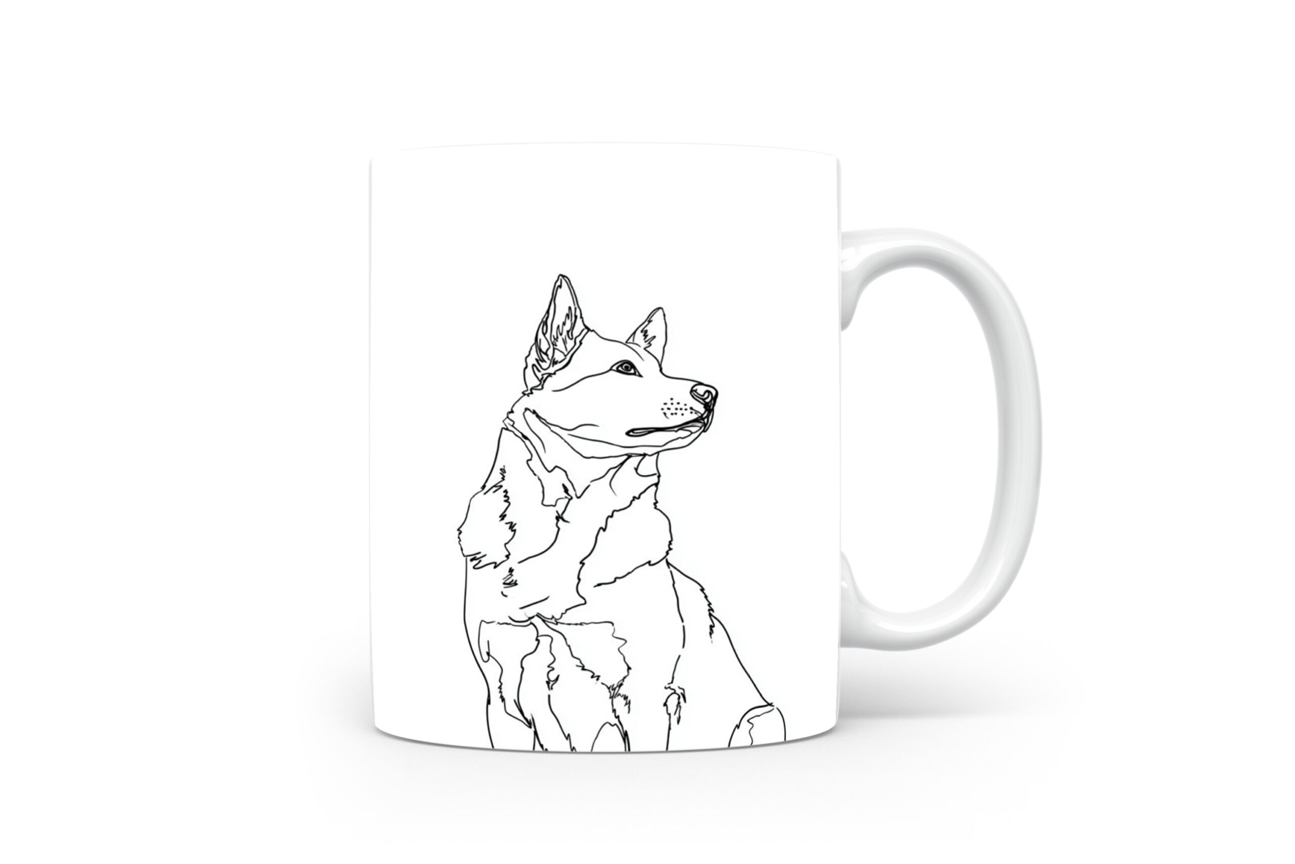 Beker Zweedse Vallhund Zweedse Vallhund
