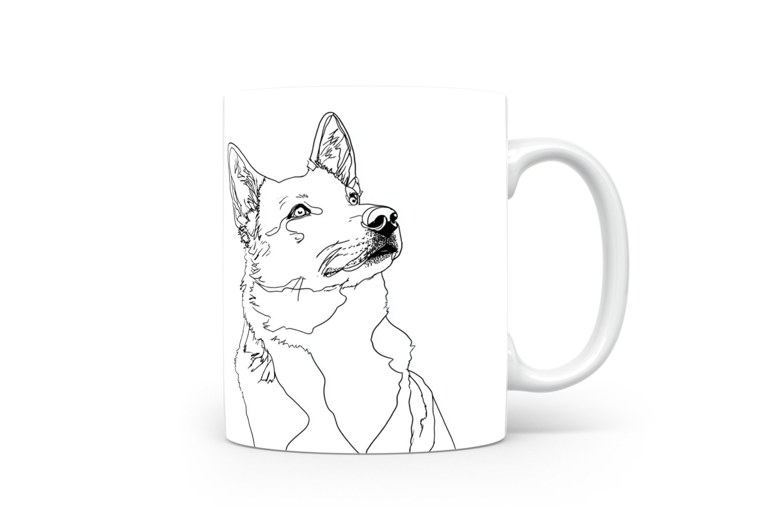 Beker Zweedse Vallhund Zweedse Vallhund