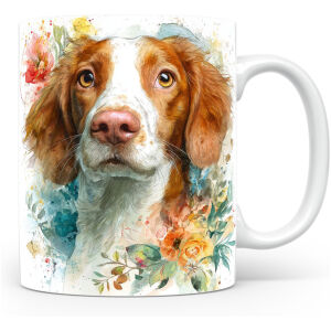 Welsh Springer Spaniël