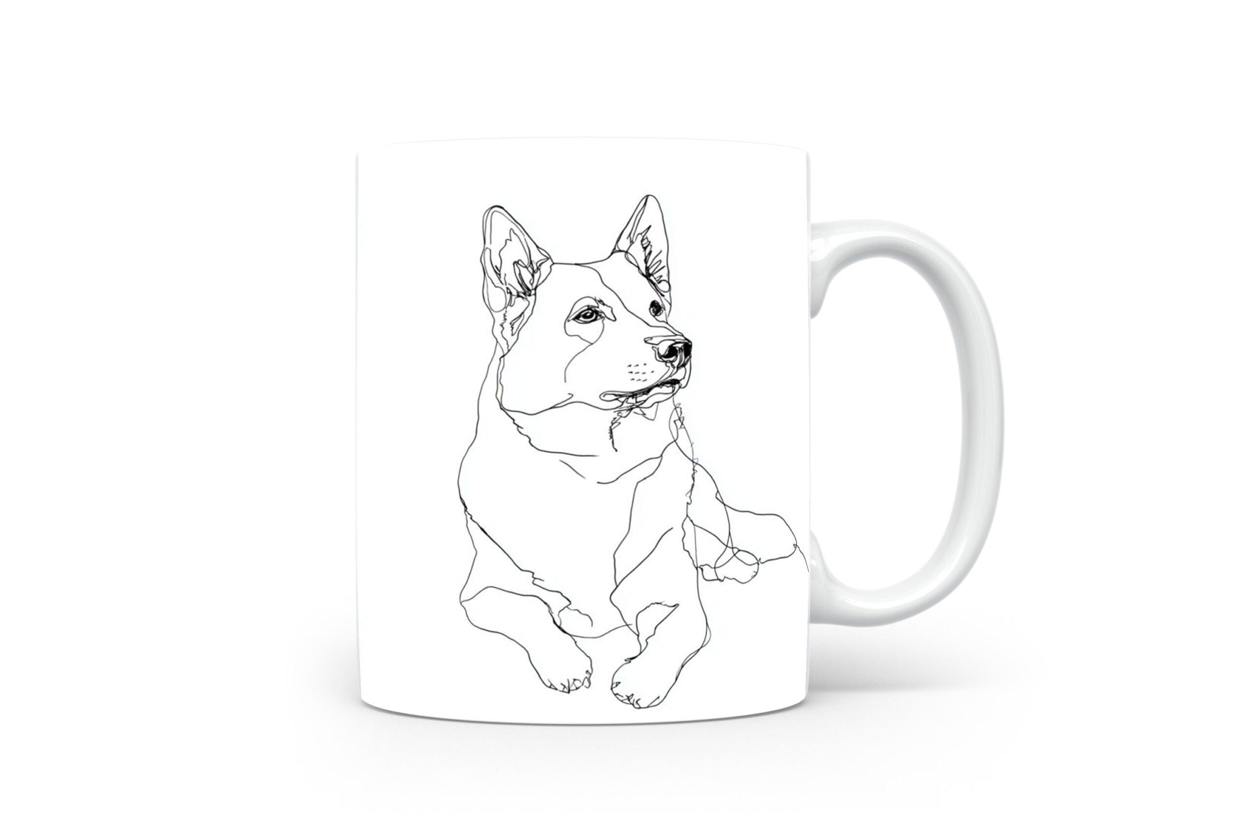 Beker Zweedse Vallhund Zweedse Vallhund
