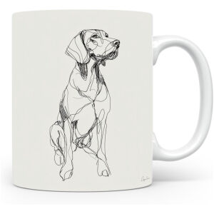 Zwitserse Laufhund / Schweizer Laufhund