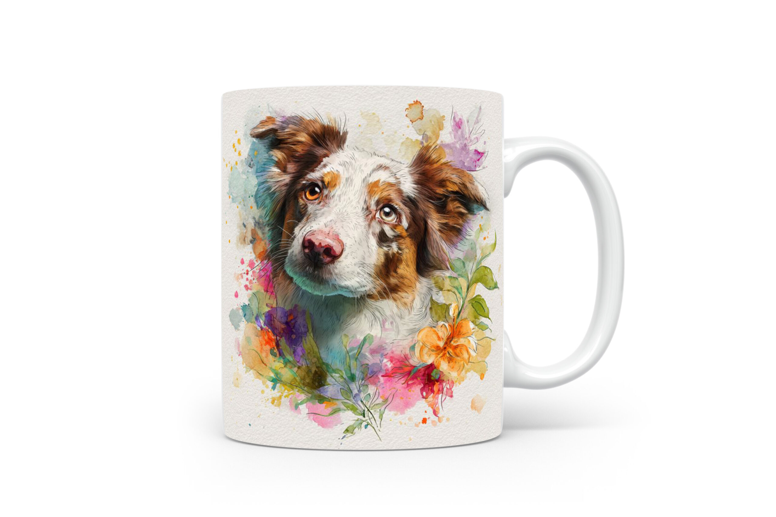 Beker Border Collie Border Collie