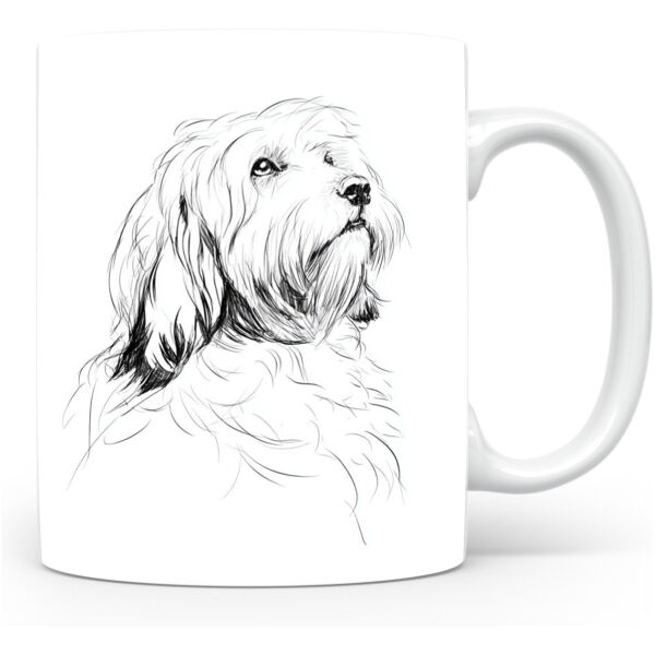 Beker Tibetaanse Terriër Tibetaanse Terriër