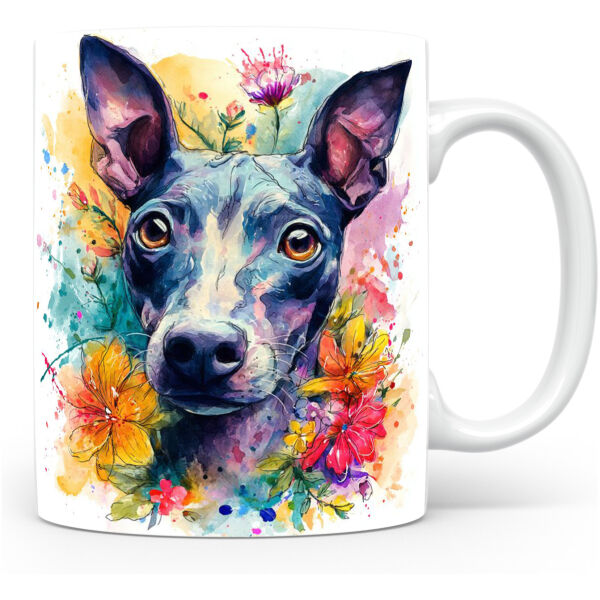 Mexicaanse Naakthond (Xoloitzcuintli)