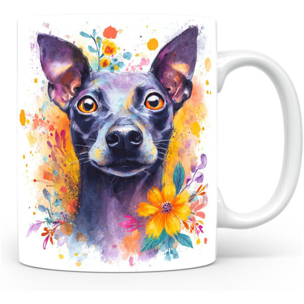 Mexicaanse Naakthond (Xoloitzcuintli)