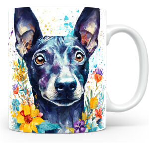 Mexicaanse Naakthond (Xoloitzcuintli)