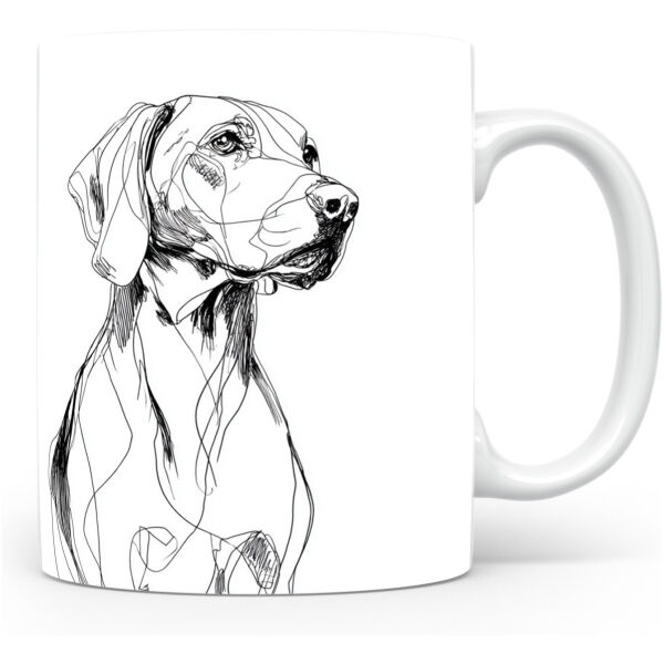 Tiroolse Brak (Tyrolean Hound)