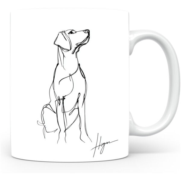 Tiroolse Brak (Tyrolean Hound)