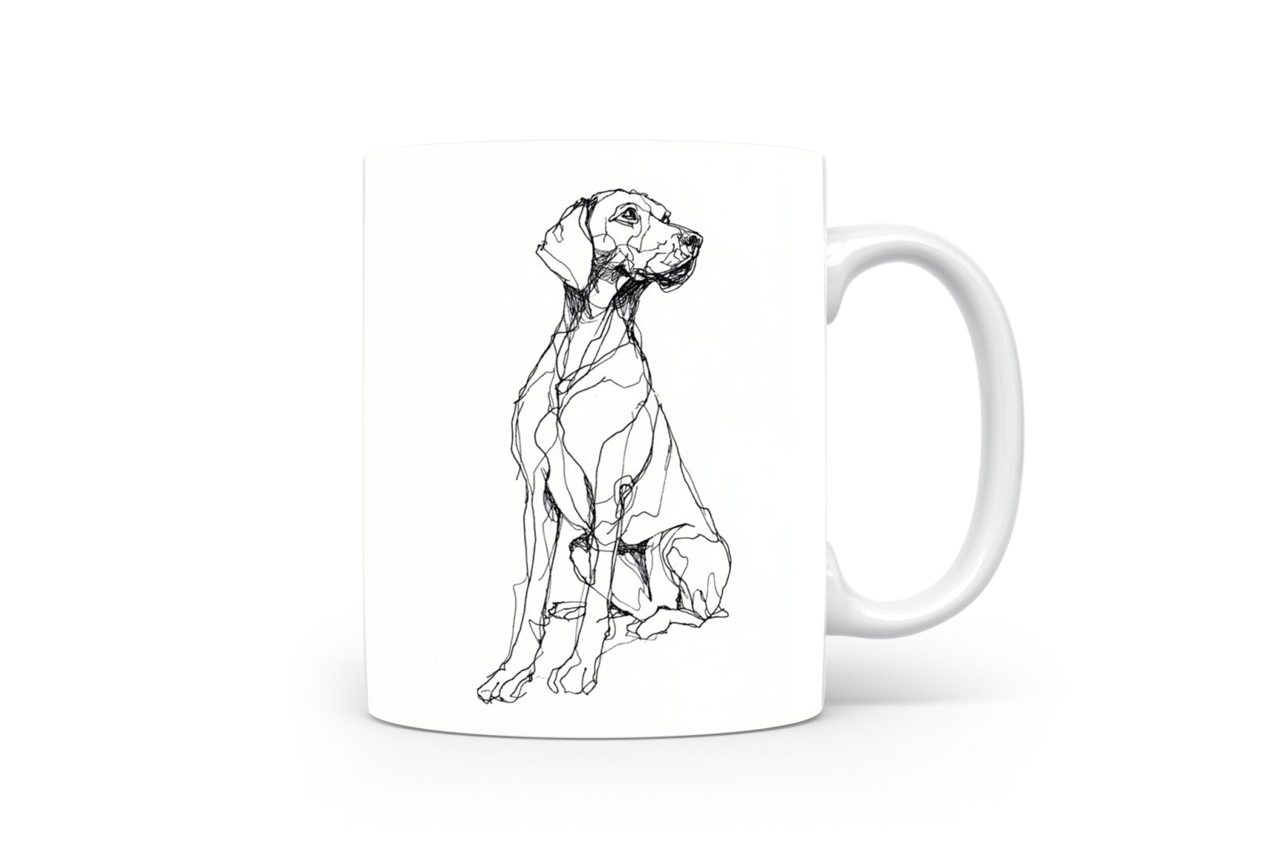 Beker Vizsla Vizsla