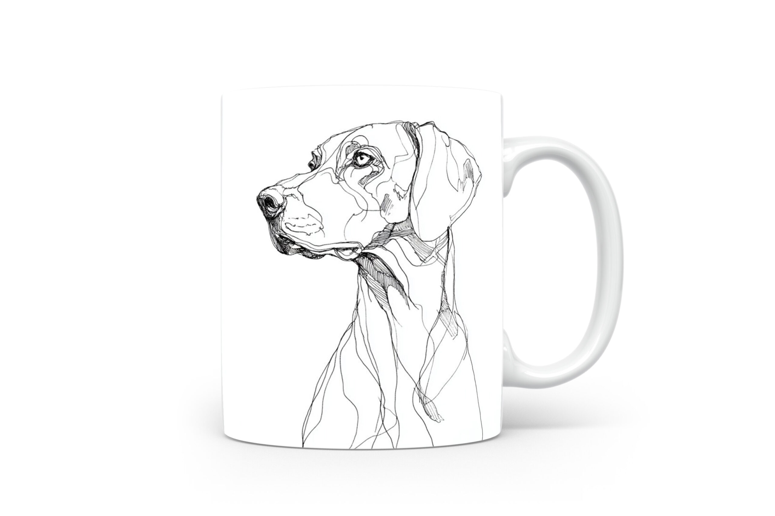 Beker Weimaraner Weimaraner