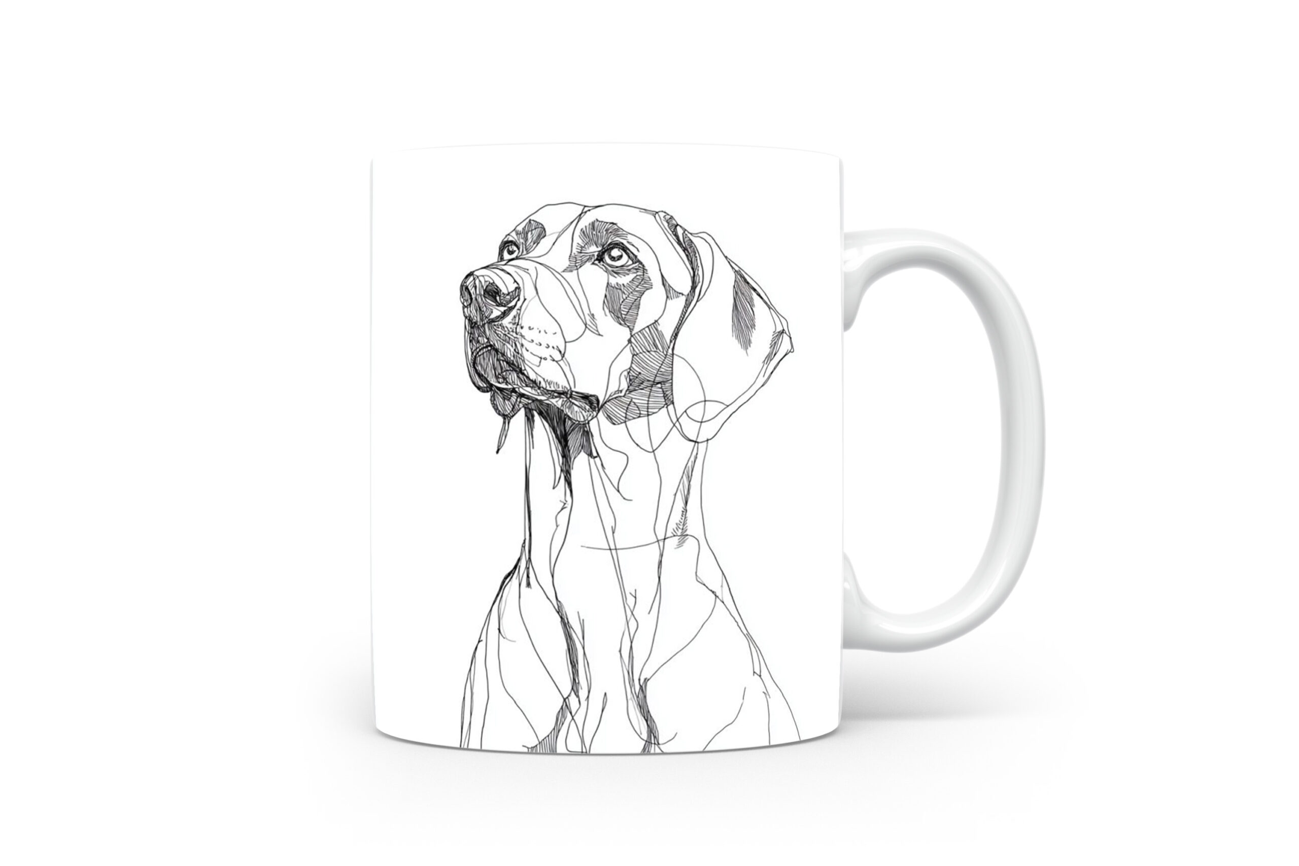 Beker Weimaraner Weimaraner