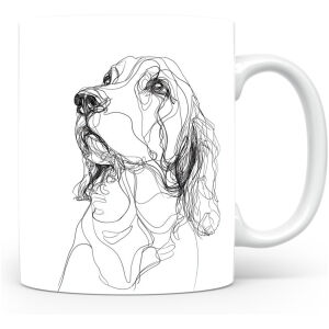 Welshe Springer Spaniël