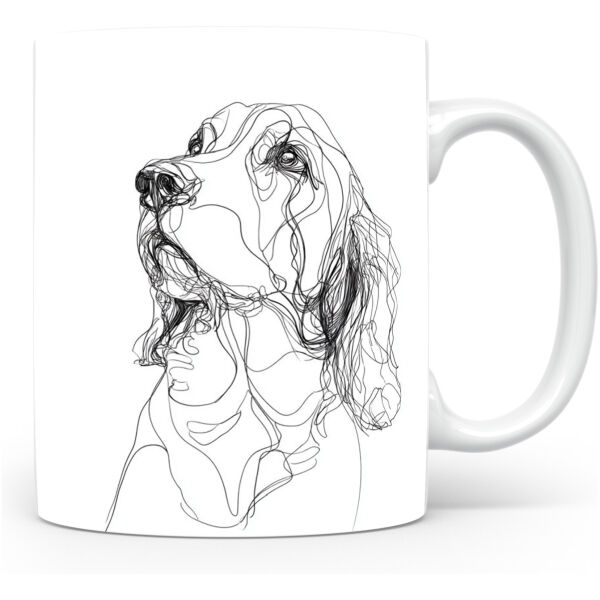 Welshe Springer Spaniël