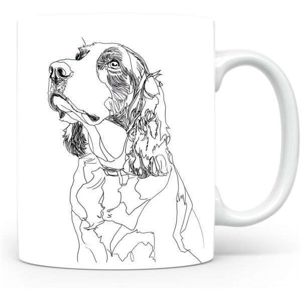 Welshe Springer Spaniël