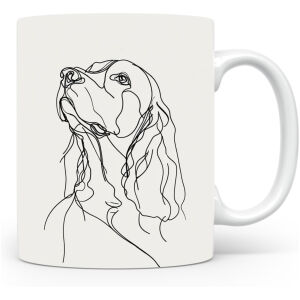 Welshe Springer Spaniël