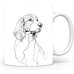 Welshe Springer Spaniël