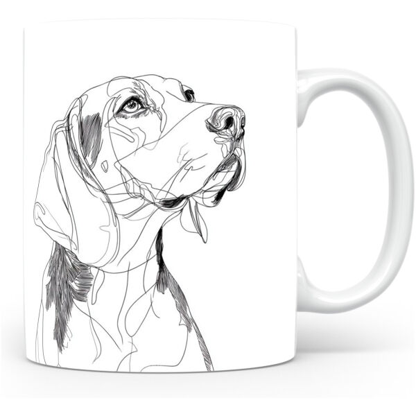 Amerikaanse Foxhound