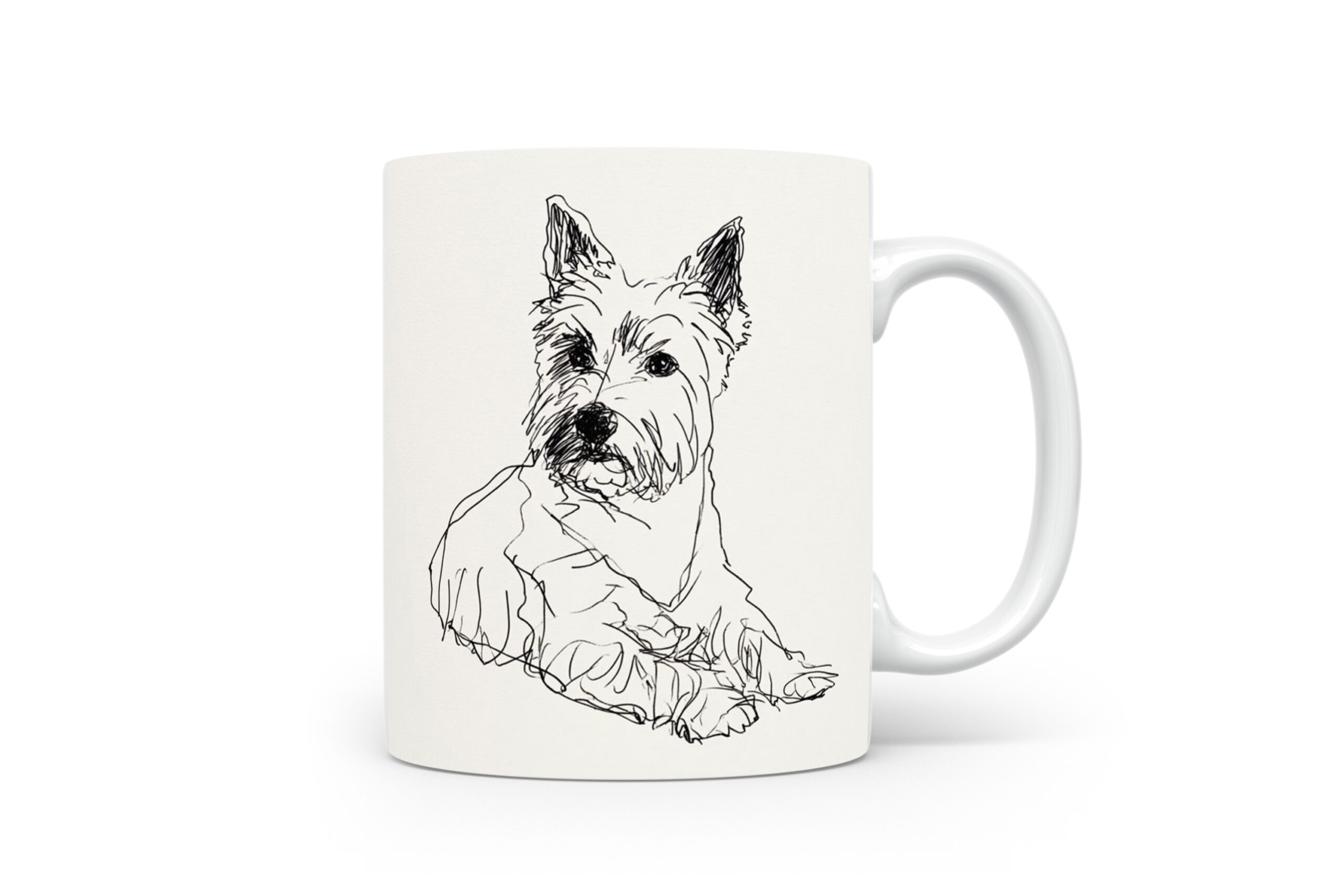 Beker West Highland White Terrier West Highland White Terrier