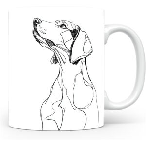 Amerikaanse Foxhound