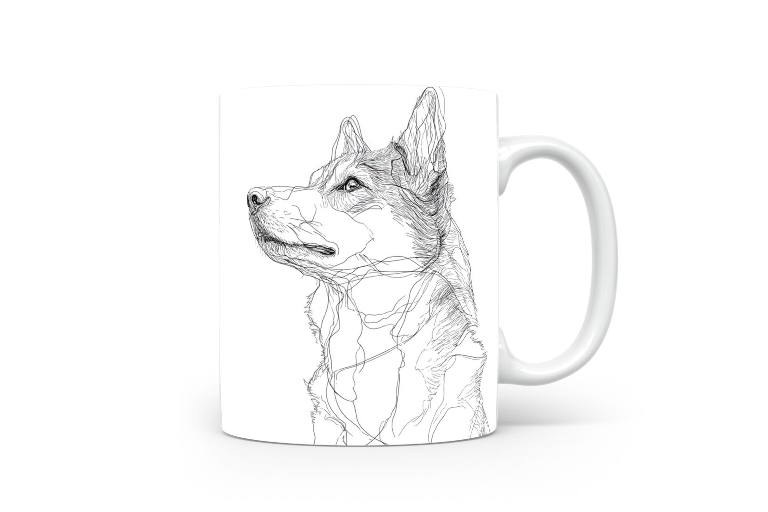 Beker West Siberische Laika West Siberische Laika