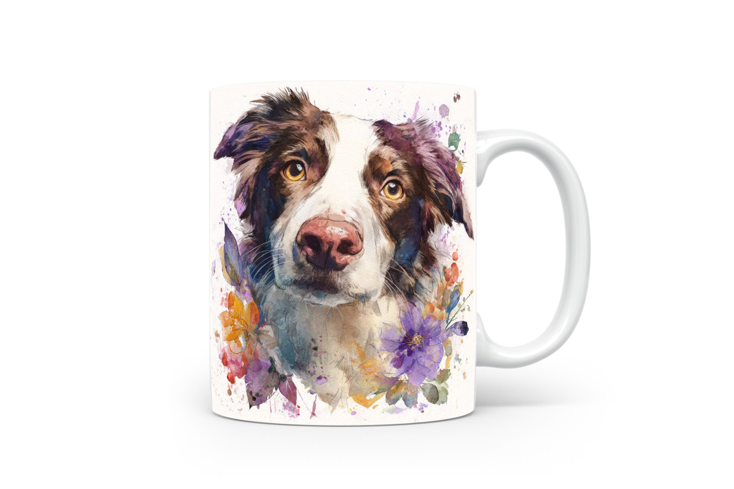 Beker Border Collie Border Collie