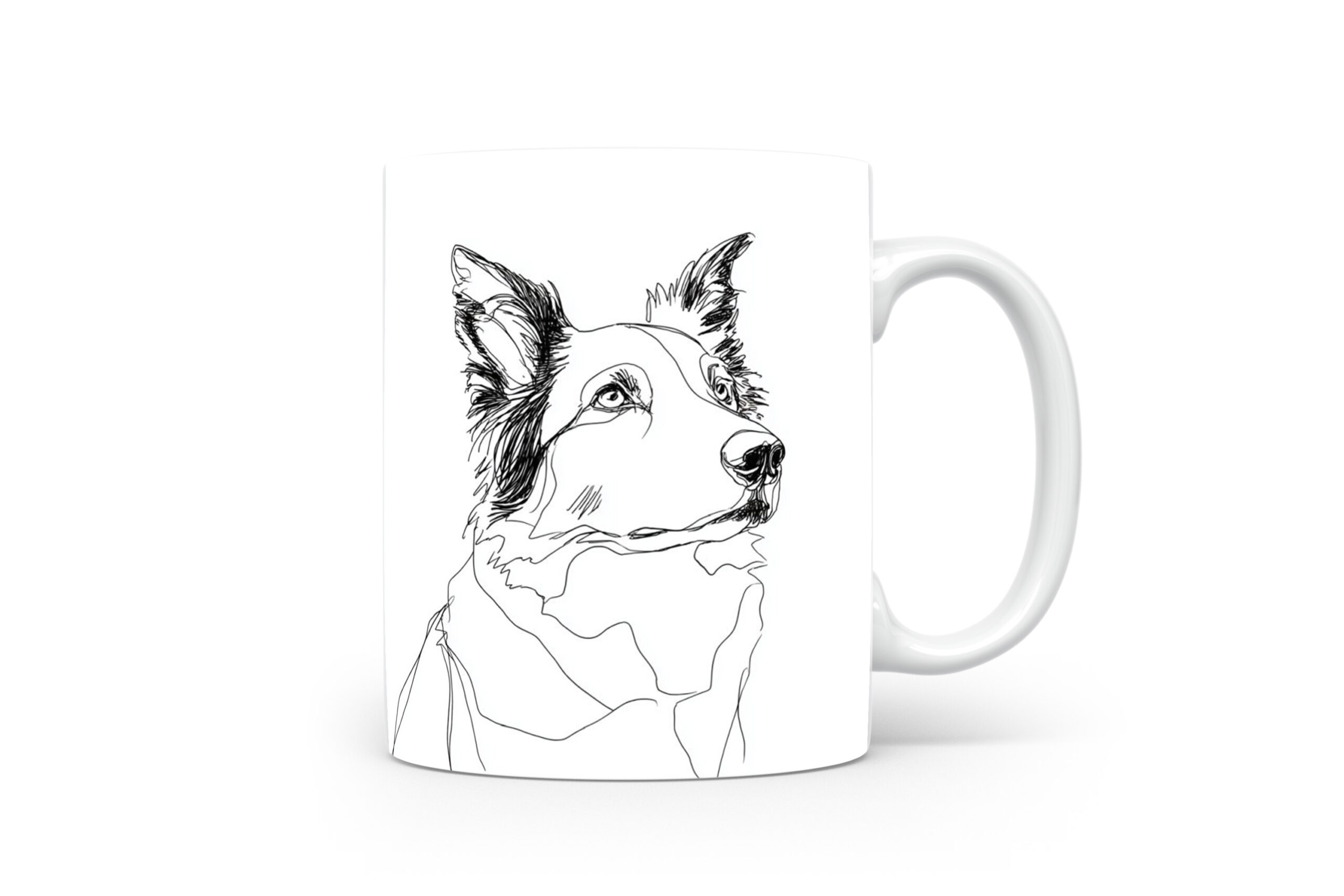 Beker Border Collie Border Collie