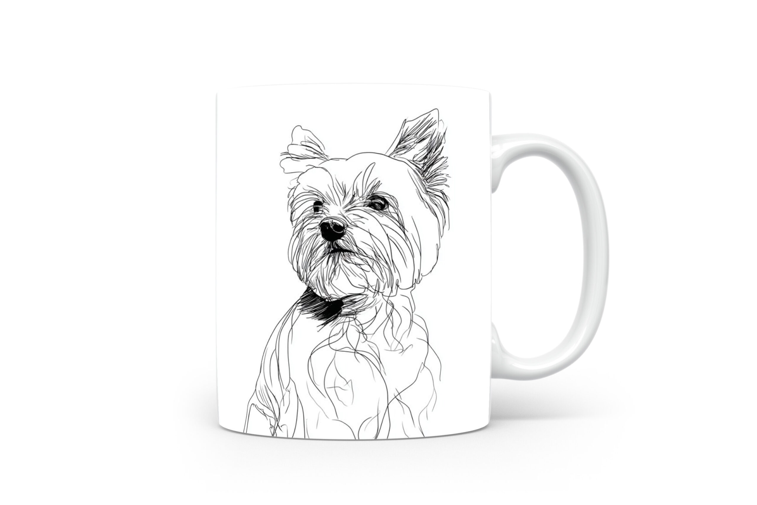 Beker Yorkshire Terrier Yorkshire Terrier