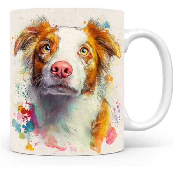 Beker Border Collie Border Collie