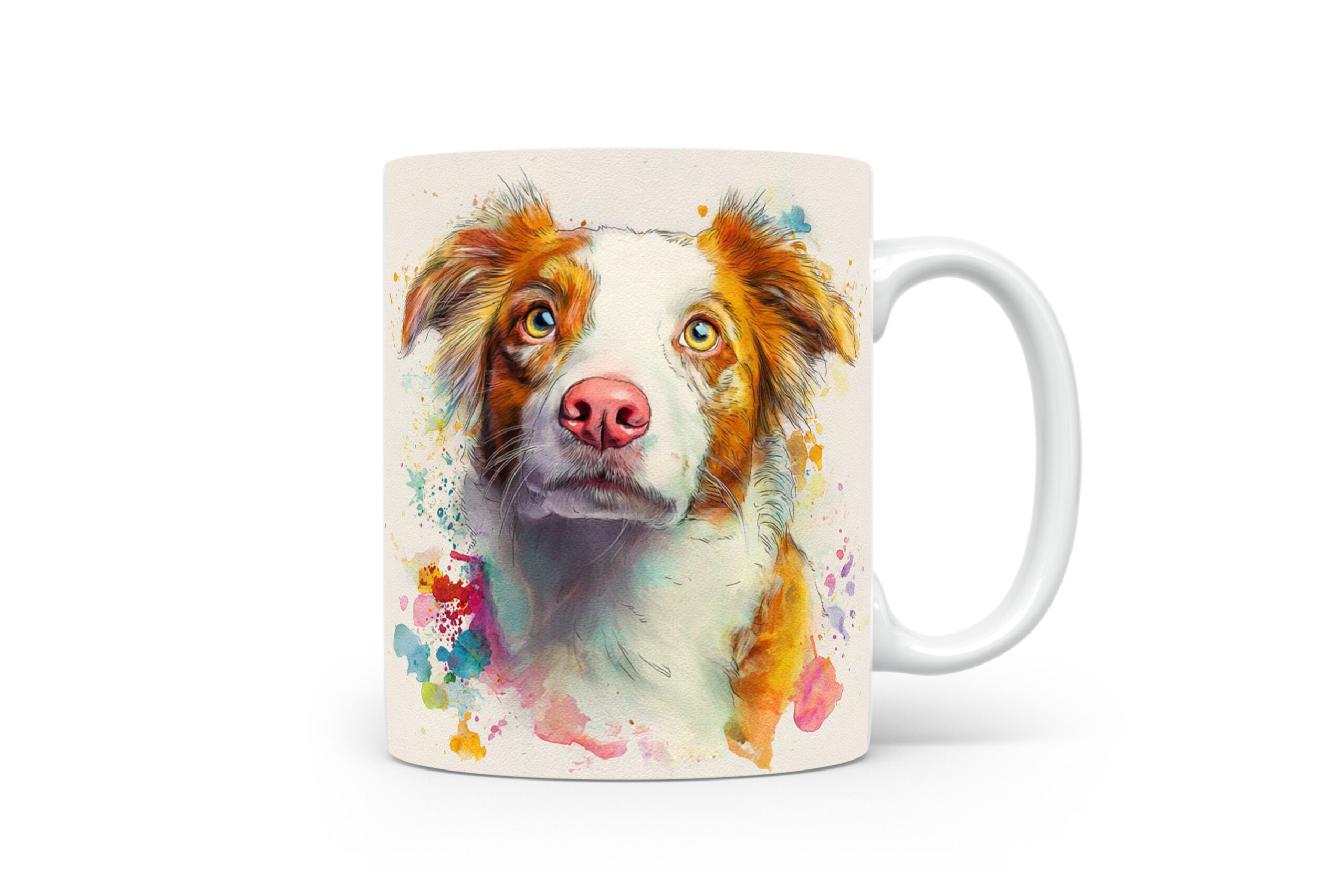 Beker Border Collie Border Collie