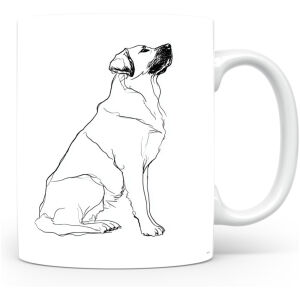 Anatolische Herdershond