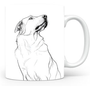 Anatolische Herdershond