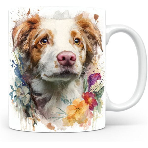 Beker Border Collie Border Collie